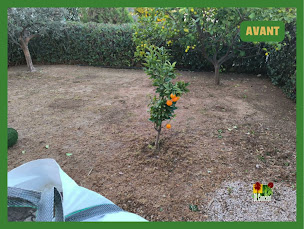 Photo n°4 de DL.CONCEPT à Cagnes-sur-Mer (Paysagiste)