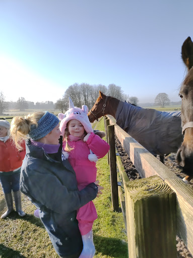 Trinity Park Stud - Visual