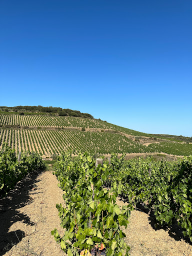 Château Chênaie - Thumbnail