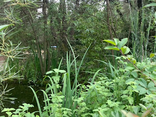 Photo n°7 de Les Hôtes du Ranquet à Tornac (Chambre d'hôtes)