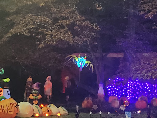 Mirror Lake Lights - Thumbnail