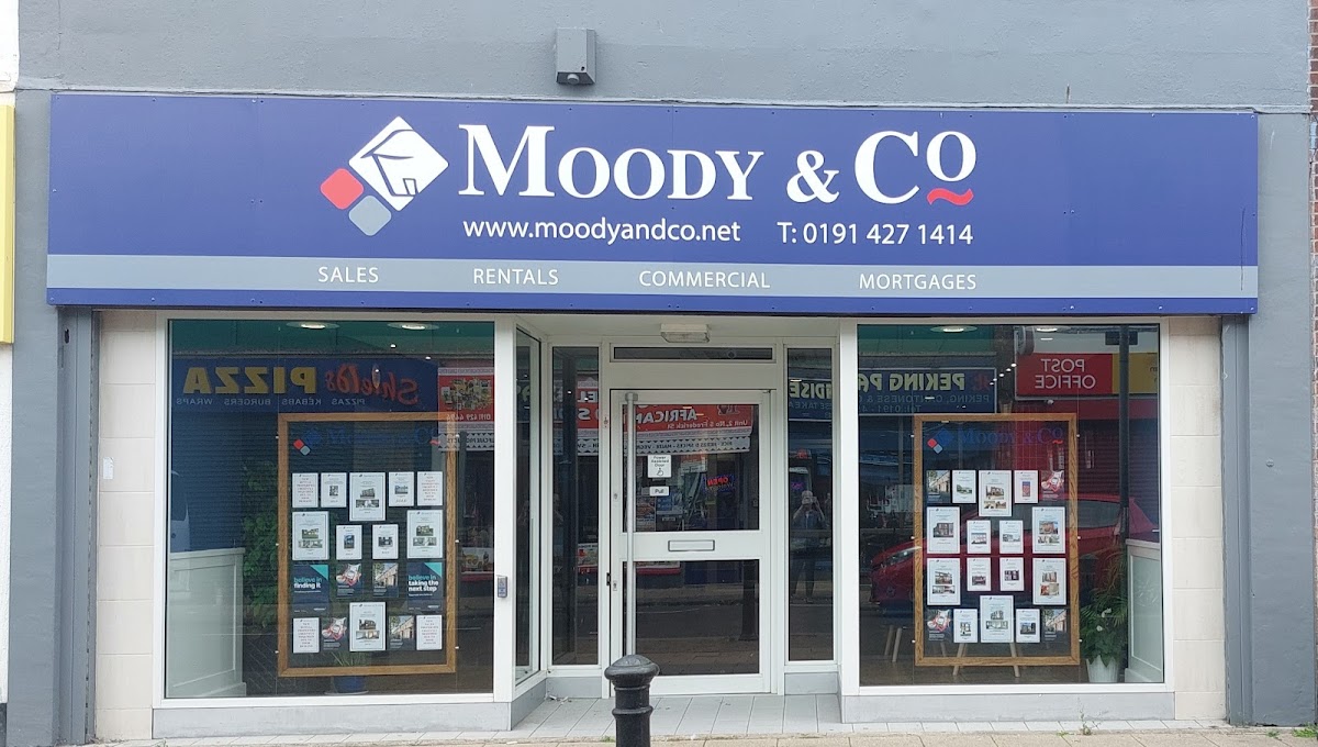 Moody & Co