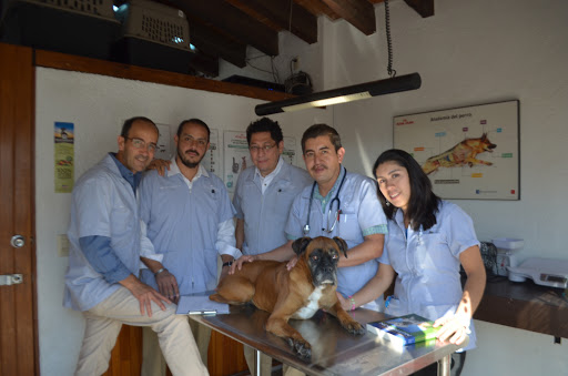 Clinica Veterinaria Vista Hermosa