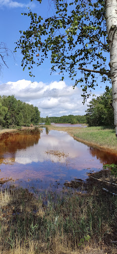 Naturlandschaft Grünewalder Lauch - Thumbnail