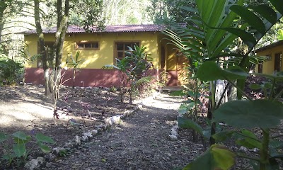 Photos of Bungalows Rio Azul