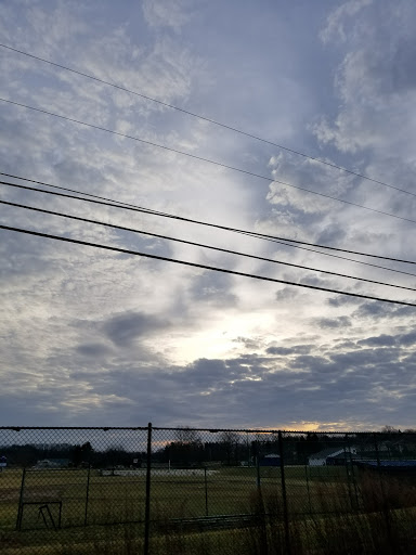 Logan Field - Visual