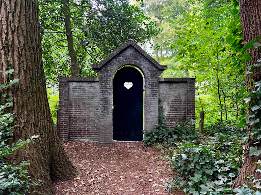 Echobos - Visual
