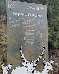 Photo n°2 de Le Parc à Daims à La Chapelle-d'Abondance (Parc)