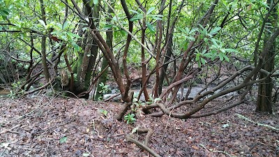 Photos of Standing Indian Campground