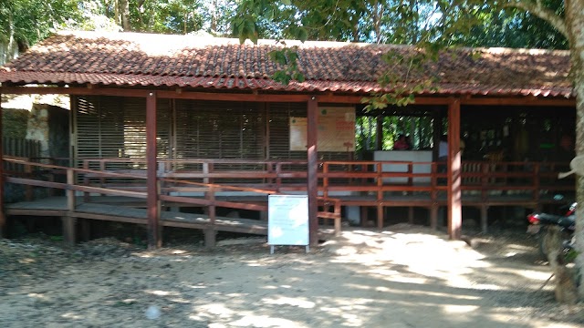 Cenote Miguel Colorado