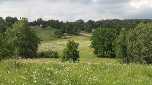 VanderWaal Homestead Farm and Bakery - Thumbnail