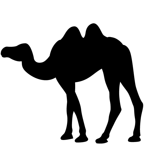 Abdul Transporting Tours