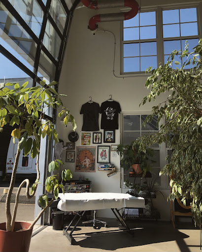 Summerland Studios - Visual