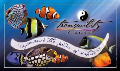 Tranquility Tanks