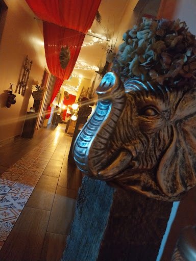 Photo de Piscines & Spas du Perche - Hydro Sud La Ferté Bernard à Nocé (61340)