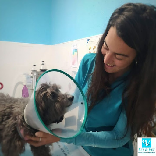 Pet and Vet Veterinarios en Positivo