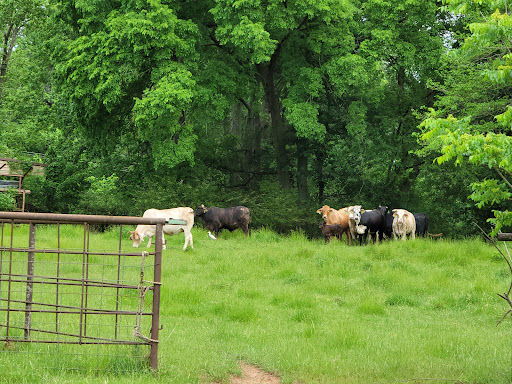 RED DIRT RETREAT- RV & Campground (formerly Twin Oaks RV Park) - Thumbnail