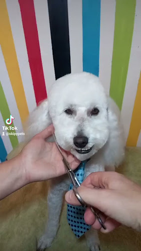 Horarios de Peluquería Canina Skipy Pet's