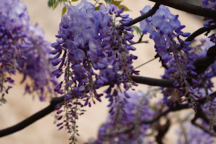 Photo n°19 de Restaurant Pizzeria Del Portel à Figeac (Pizzeria)