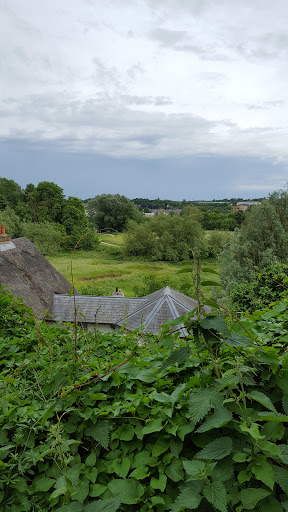 Hartham Common - Thumbnail