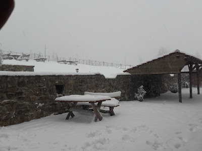 Photos of Park Paljurci