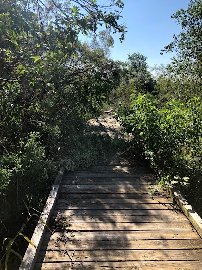 Madere Marsh Boardwalk