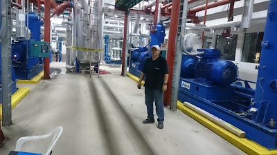 Photos of Planta Junsa