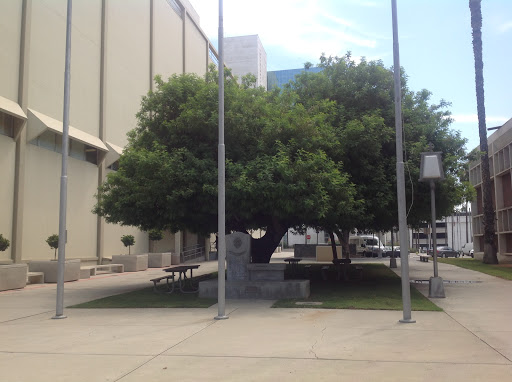 Riverside Sheriffs Department Gallery - United States