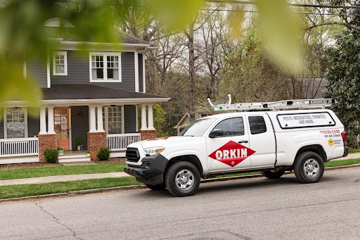 Orkin - Visual