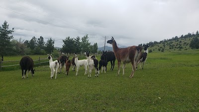 Montana Llama Guides of Bozeman