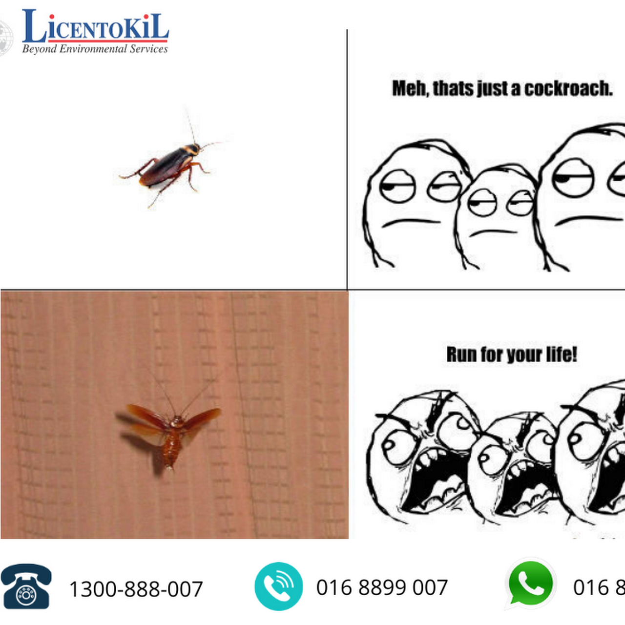 Licentokil Kk Effective Affordable Pest Control Service Warranty Up To 20 Years