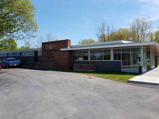 Watertown Animal Hospital, L.L.P.
