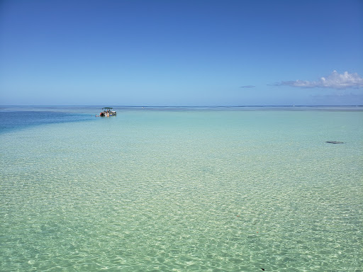 Kaneohe Sandbar - Thumbnail