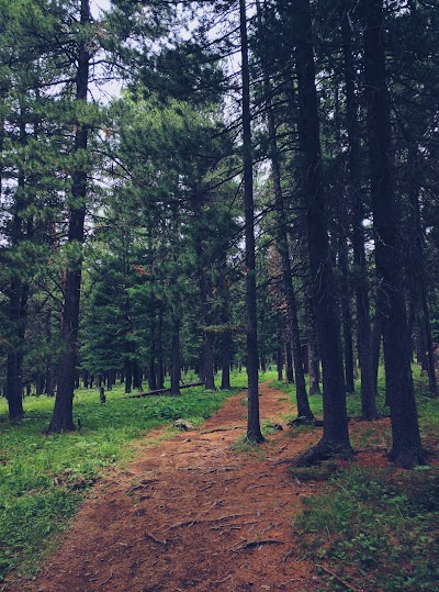 Photos of Bogd Khan Mountain
