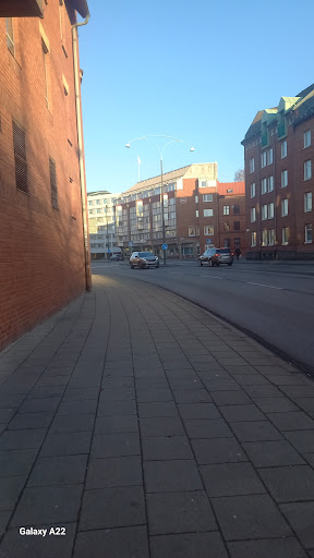 Lifra - Visual