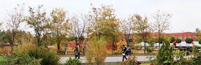 Photos of Adıyaman University (ADY is)