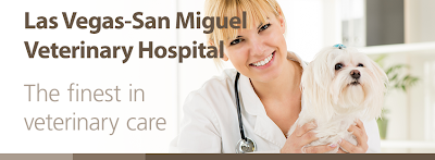 Las Vegas-San Miguel Veterinary Hospital