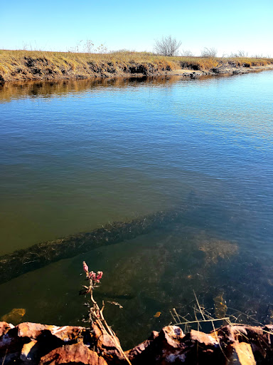 Sandpiper Nature Trail Gallery - United States