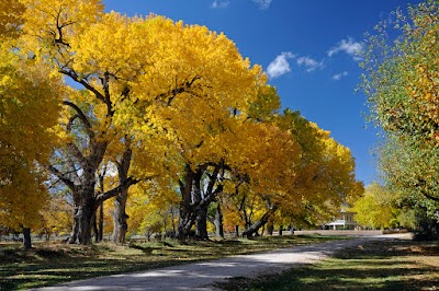 Los Luceros Historic Site