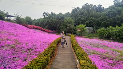 Photos of 한탄강어린이교통랜드