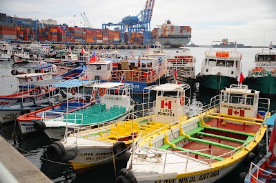 Photos of City of Valparaiso