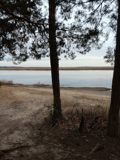 Hay Road Beach - Thumbnail