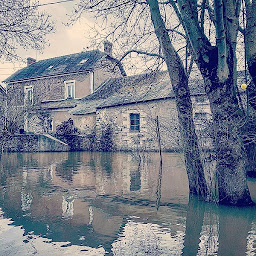 Photo n°57 de Guinguette et hébergement touristique Au Bout de l'île - Restaurant, gîte, chambres d'hôtes, yourtes et toue cabanée (bateau) à Mauges-sur-Loire (Gîte)
