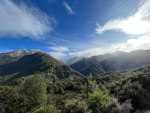 Mt Crichton Loop Track - Thumbnail