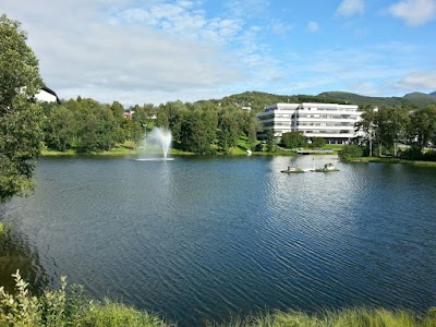 Photos of Lenvik Municipality