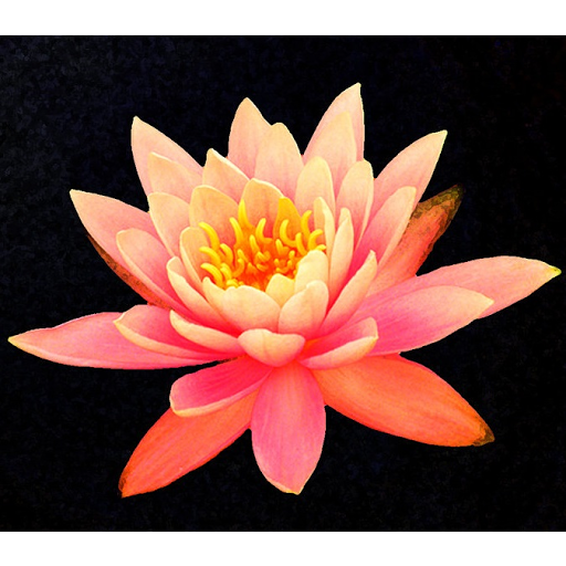 Yoga for Daily Living - Thumbnail