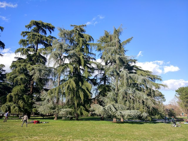 Giardini Margherita