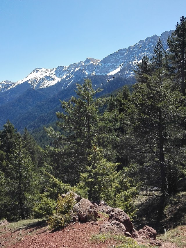 Prat de Cadí (Estana)