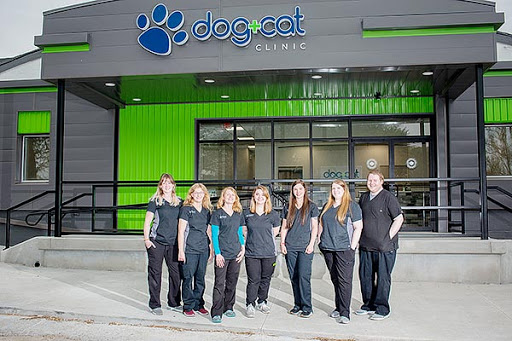 Dog & Cat Clinic Gallery - United States