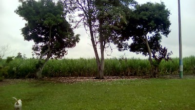 photo of Cancha de futbol, Meztizal